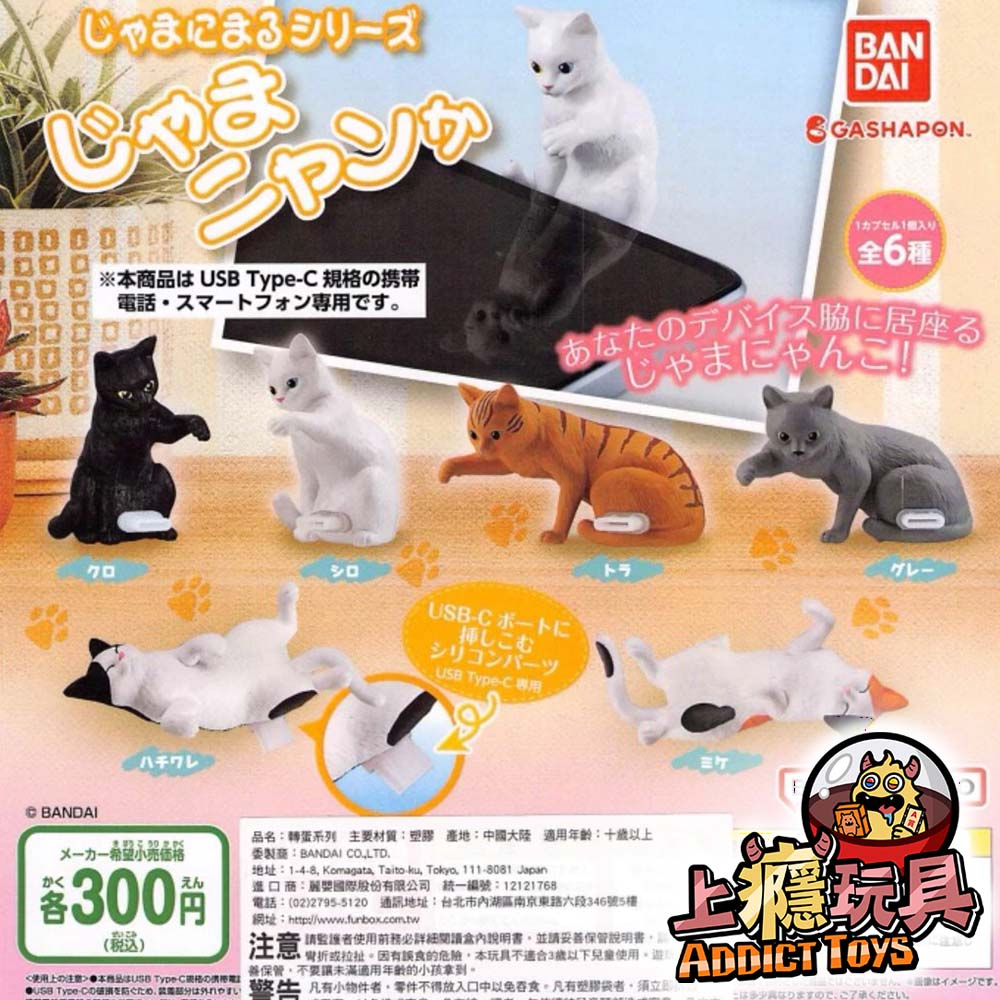 困擾動物系列 貓篇