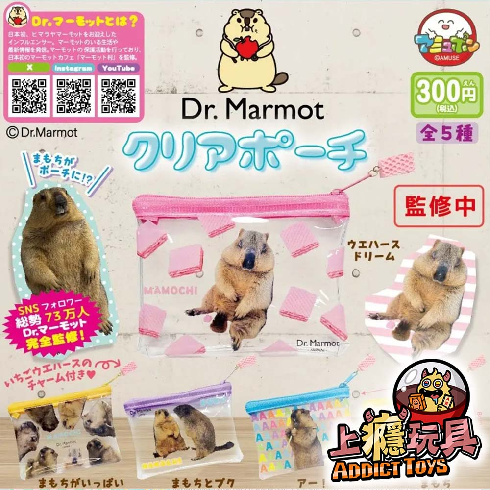 Dr.Marmot透明小物包