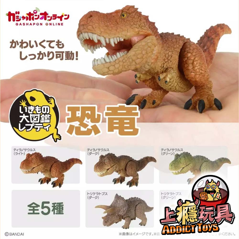 BAN/生物大圖鑑恐龍