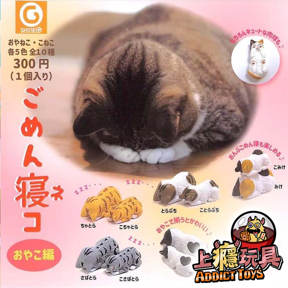 道歉貓睡姿公仔-親子篇