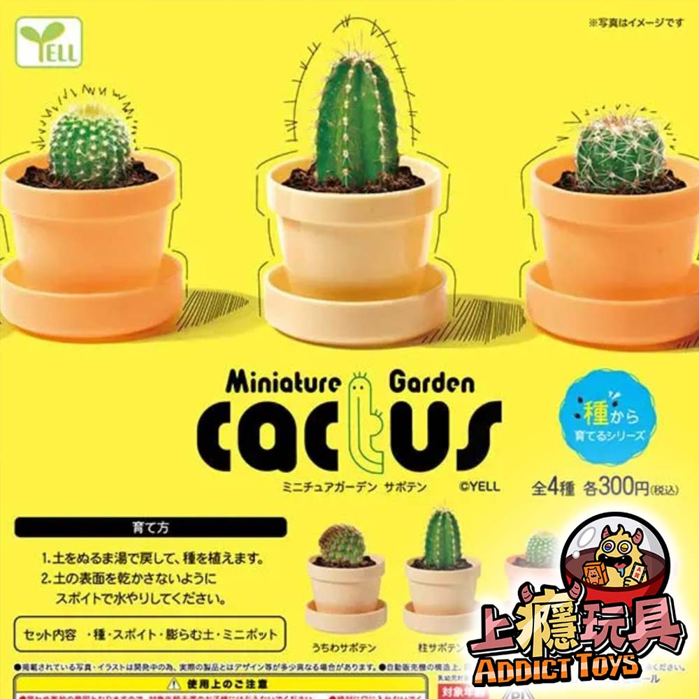 微型花園仙人掌