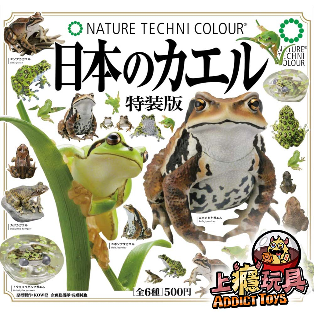 TNC圖鑑-巨型蟾蜍