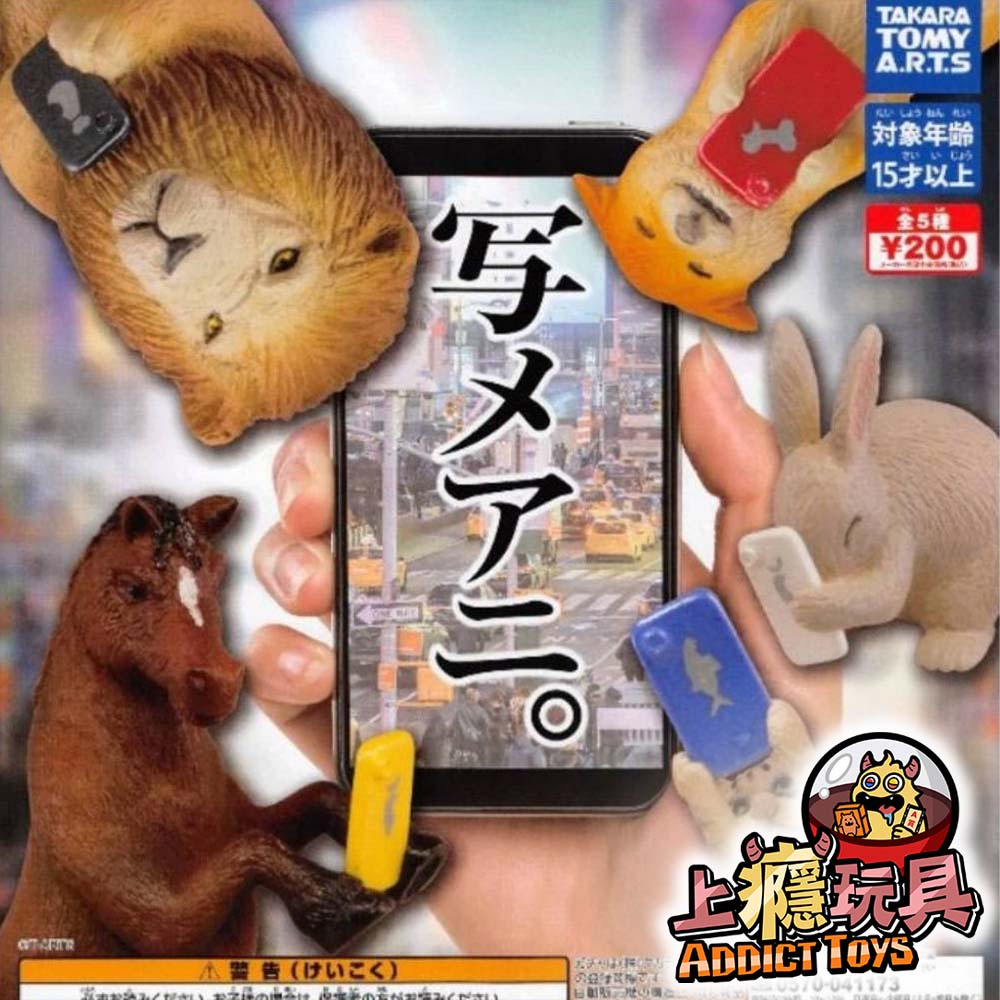 動物拍照