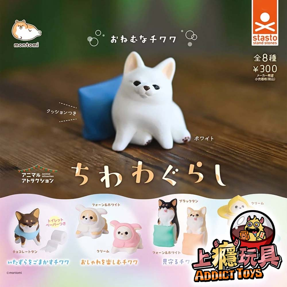 動物愛好系列-吉娃娃的日常