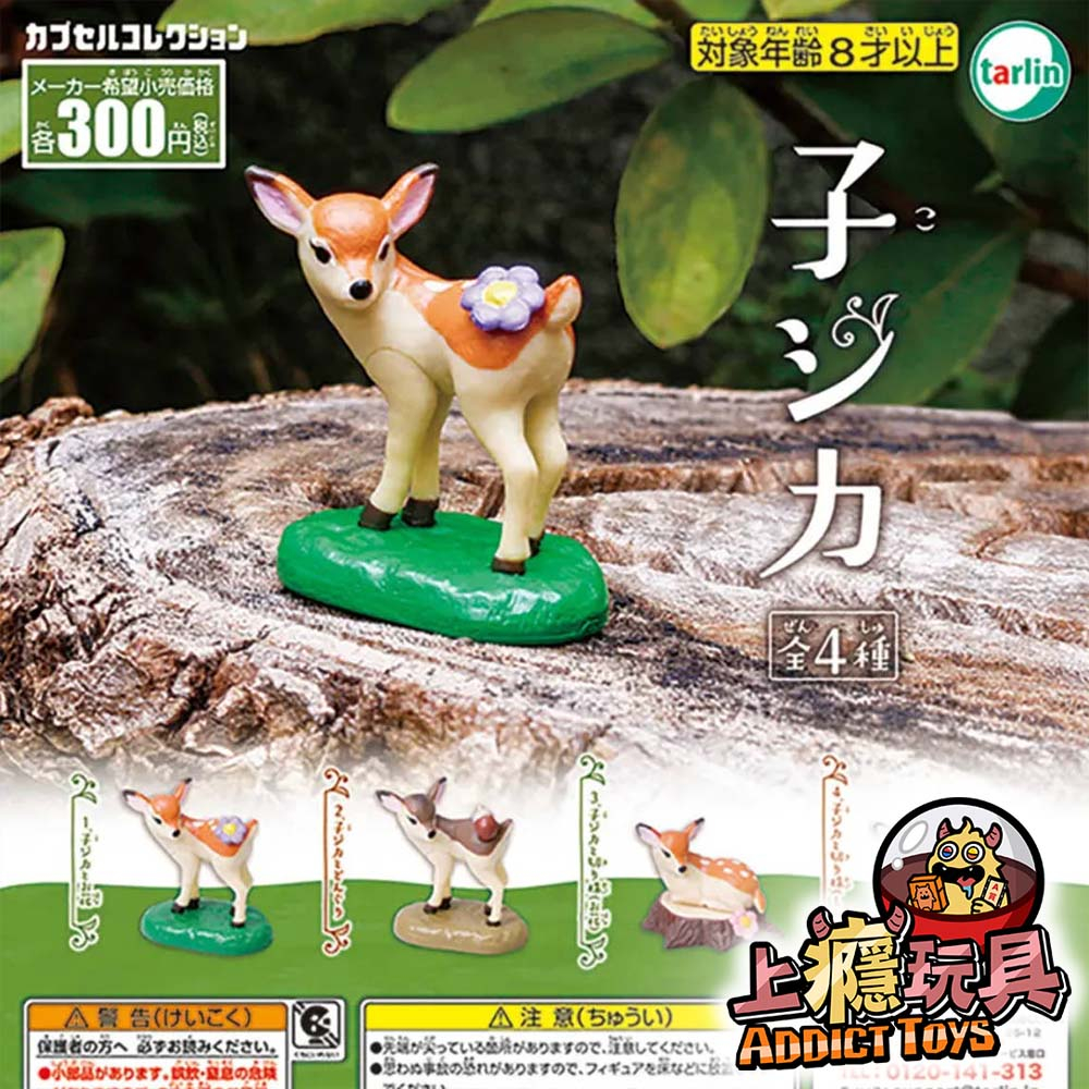 子鹿