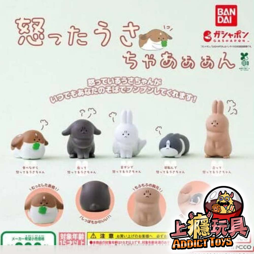 氣死兔子了