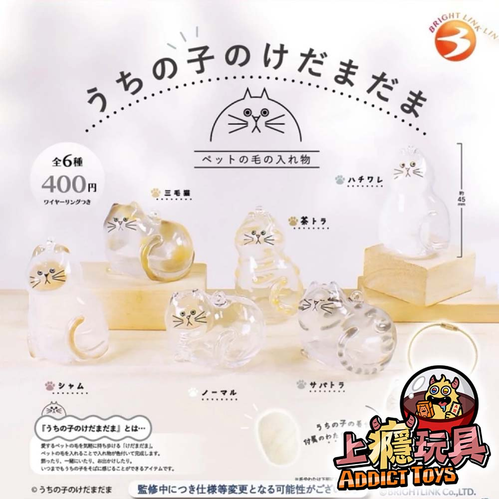 我家貓孩透明吊飾