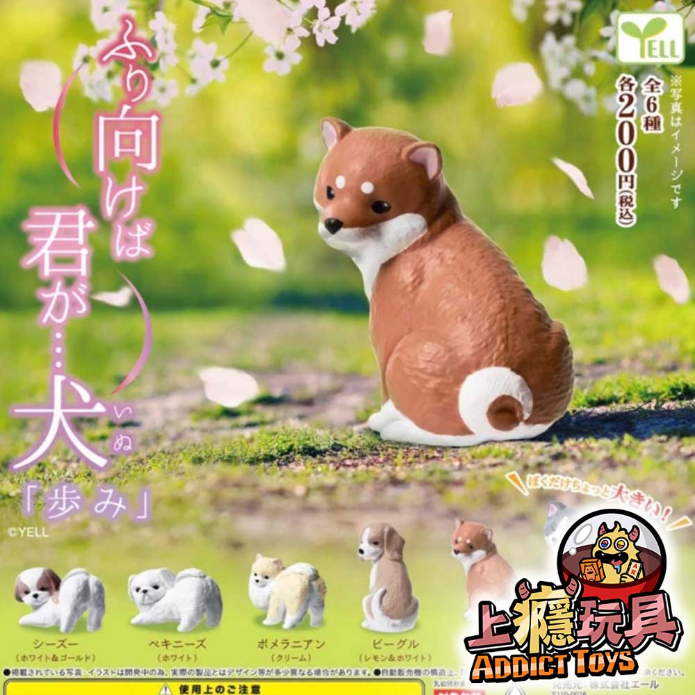可愛回萌狗狗-足跡篇